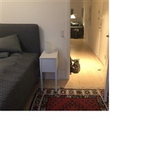 Photo 2. Apartment, Amerika Plads, København Ø 
