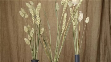 Photo 13. Apartment, Skjeberg Alle, Taastrup 