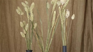 Photo 14. Apartment, Skjeberg Alle, Taastrup 