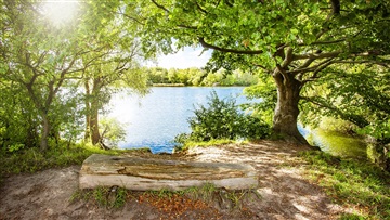 Photo 24. Apartment, Skjeberg Alle, Taastrup 