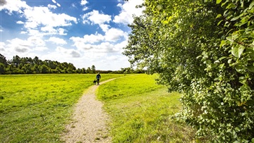 Photo 25. Apartment, Skjeberg Alle, Taastrup 