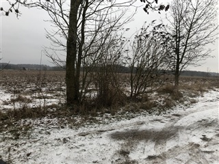 Photo 15. Apartment, Lensvej, Ringe 