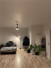 Photo 26. Apartment, H.C. Ørsteds Vej, Herning