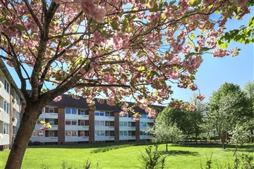 Billede 2. Lejlighed, Nordkap, Holstebro 