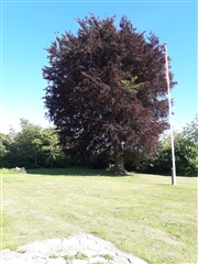 Photo 2. Apartment, Rengegade, Store Heddinge 