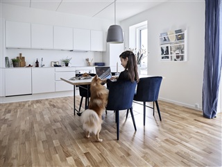 Photo 6. Apartment, Sporstræde, Hedehusene 