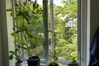 Photo 6. Apartment, Tolderlundsvej, Odense C 