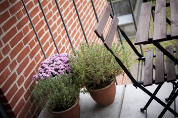 Photo 1. Apartment, Brohusgade, Aalborg 