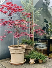 Billede 12. Lejlighed, Halmtorvet, København V 