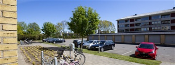 Photo 10. Apartment, Bangsbovej, Frederikshavn 