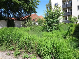 Billede 14. Lejlighed, Nyborgvej, Odense C 