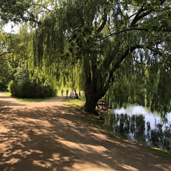 Photo 19. Apartment, Sverigesgade, Aalborg 