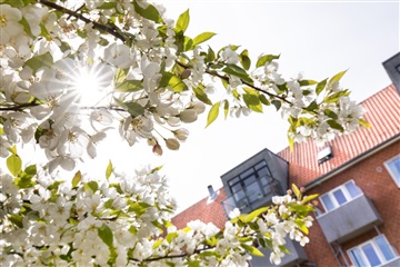 Photo 19. Apartment, Rosenvænget, Struer 