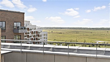 Billede 22. Lejlighed, Else Alfelts Vej, København S 