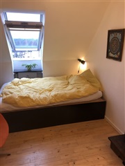 Photo 1. Room, Bodenhoffs Plads, København K 