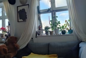Photo 7. Room, Sibeliusgade, København Ø 