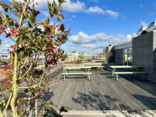 Billede 17. Lejlighed, Godsbanen, Aalborg 