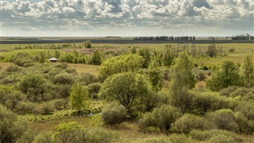 Billede 19. Lejlighed, Robert Jacobsens Vej, København S 
