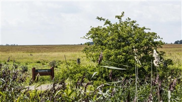 Billede 23. Lejlighed, Robert Jacobsens Vej, København S 