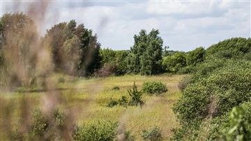 Billede 22. Lejlighed, Robert Jacobsens Vej, København S 