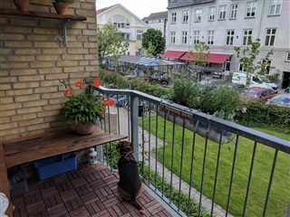 Photo 6. Exchange property, Strandgade, København K 