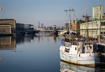 Billede 9. Lejlighed, Weidekampsgade, København S 