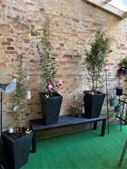 Photo 19. Apartment, Sct. Mathias Gade, Viborg 