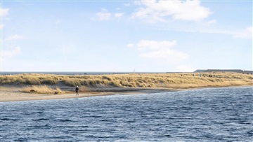 Billede 30. Lejlighed, Øresundsvej, København S 