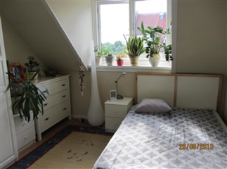 Photo 1. Room, Tartinisvej, København SV 