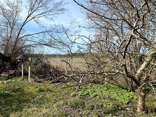 Photo 3. Apartment, Ledreborg Alle, Roskilde 