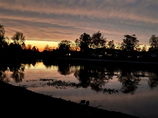 Photo 19. Room, Markblomstvej, Greve 