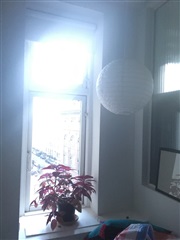 Photo 1. Room, Fiskedamsgade, København K 