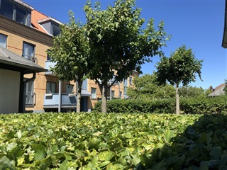 Photo 5. Apartment, Borgmester Hassings Vej, Frederikshavn 