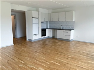 Photo 6. Apartment, Sveistrups Have, Vejen 