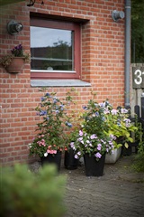 Billede 4. Lejlighed, Metisvej, Aalborg SØ 