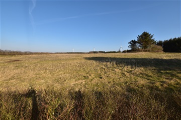 Photo 50. House, Hedevej, Karby 