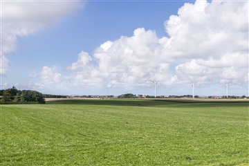 Photo 13. House, Hedevej, Karby 