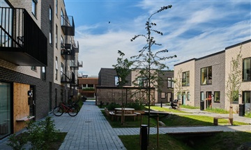 Billede 11. Hus/villa, Teglværksvej, Hedehusene 