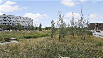 Billede 22. Lejlighed, Hannemanns Allé, København S 