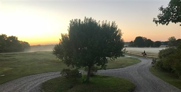 Photo 16. House, Grønholtvej, Fredensborg 