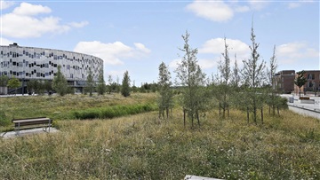 Billede 4. Lejlighed, Hannemanns Allé, København S 