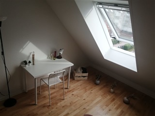 Photo 3. Room, Tingvej, København S 