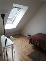 Photo 4. Room, Tingvej, København S 