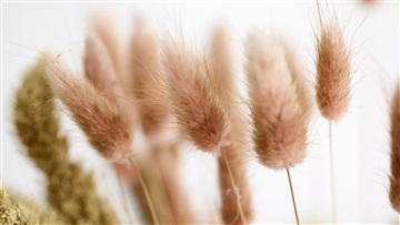 Photo 14. Apartment, Dræsinen, Hedehusene 