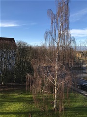 Photo 8. Room, Kongebakken, Roskilde 