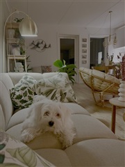 Photo 6. Room, Carl Th. Dreyers Vej, Valby 