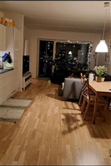 Photo 5. Room, Belvederegade, København V 