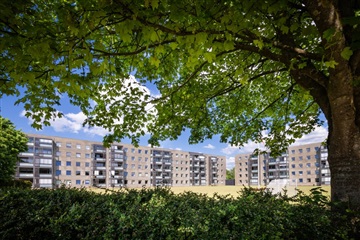 Billede 7. Værelse, Skovgårdsvej, Holstebro 