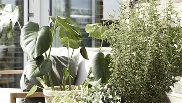 Photo 2. Apartment, Else Alfelts Vej, København S 