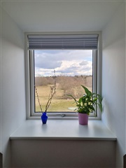 Photo 5. Room, Krogdalen, Ballerup 